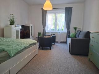 Apartmán Žatec - 9