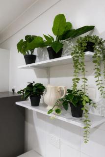Spacious 3BR Home w Parking in Sunnybank - Relax & Unwind - 3