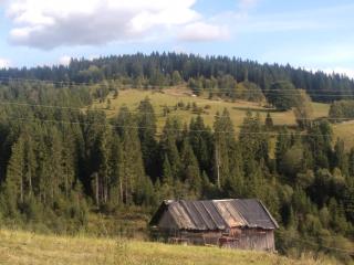 Затишний будинок Black house - 3