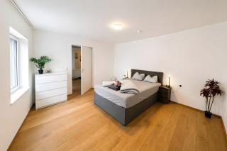 Aldrans Apartment with 3 bedrooms - 0