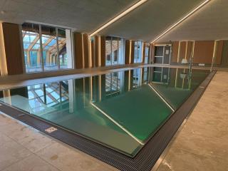 Appartement Vogelnest mit Dachsteinblick & Pool - 1