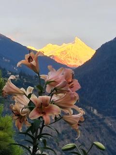Chambre Zinal Rothorn - 5