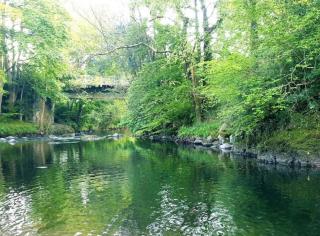 Pet Friendly 2-Bed Lodge Sleeps 5 Pool & Parking - 1