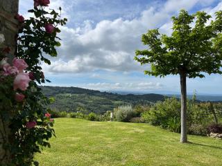 Le Sughere - 6