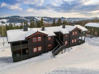 Ski-in/Ski-out apartment with Sauna in Trysil - 0