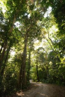Kachonghills Tented Resort Trang - 7