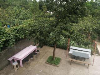 Da Ma - Kobuleti - 1