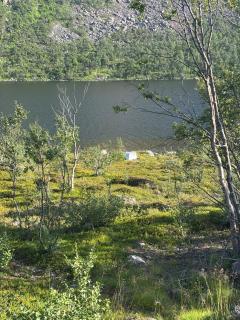 Cottage in Jarfjord - 9