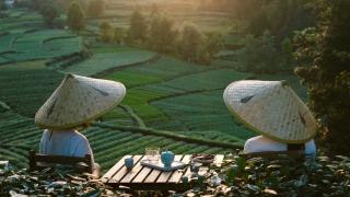 Wantu Panoramic Tea Valley Retreat - 0