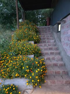Ajdahak - 8