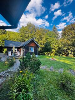 RESETówka nr 2 - domek na odludziu - 6