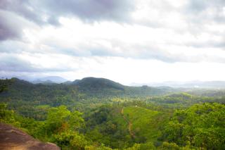 The Forest Villa - 7