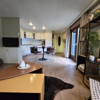 Gezellig huisje met bostuin op de Veluwe - 4