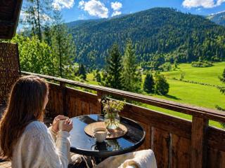 SkyView Apartments Bad Kleinkirchheim - Kärnten Card Included Summer - 9