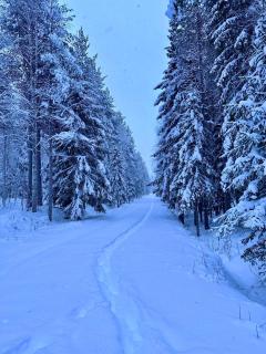 Lumo Lapland Suites VI - 3