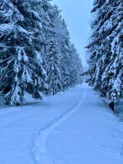 Lumo Lapland Suites I - 4