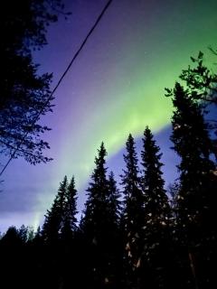 Lumo Lapland Suites X - 3