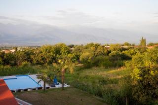 Chateau Tsinandali - 9