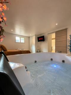 Logement entier avec jacuzzi proche futuroscope - Naintré - 0