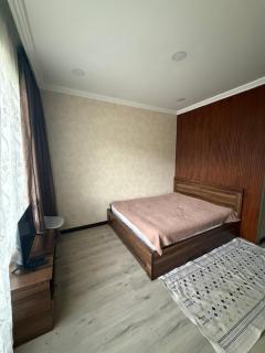 Cottage in Bakuriani - 1