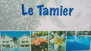 Kaz Tamier - 1