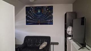 Tinorentals , 1 person studio,all private,industry - 0
