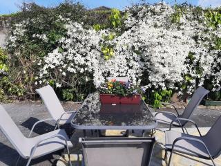 The Courtyard Apartments - Cahir Heritage Town - 4