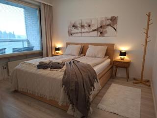 Arctic River View Home Rovaniemi City Center - 9