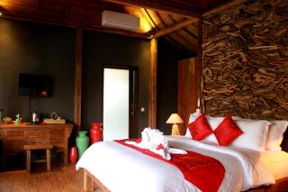 Ubud Virgin Villa - 6