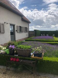 Cottage d'Hoge Schure - 0