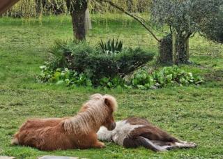 Le Domaine des Sources - 4