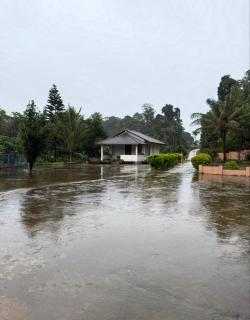 hallibailu homestay - 1