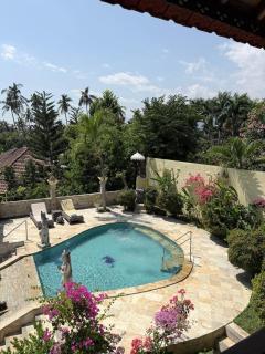 Marakuya Jakaranda Villas and Studios Lovina with Shared Pool - 4
