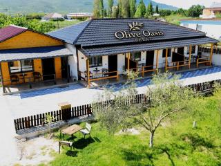 Olive Oasis Studio - 0
