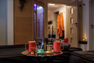 Nero & Cognac Suite - Prague 4 - 2
