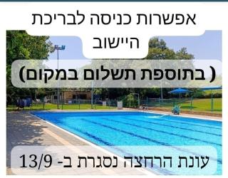 בצל הדקל - 3