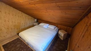 AVS Snagov Chalet - 7