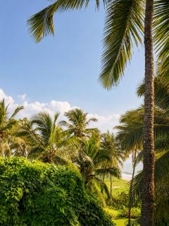 White Turtle Villa & Rooms by the sea - 7