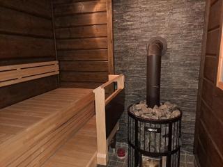 Luxury Aurora glass Igloo, hot tub & sauna cottage - 3