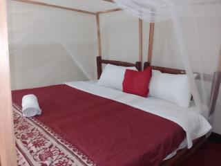 Dream jet suites - 7