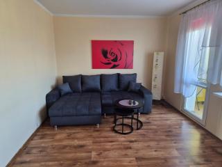 Apartament Palisadowa - 7