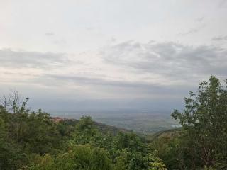 Gviniashvili's guesthouse - 3