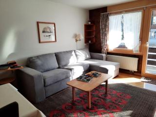 Apartment Mösli - Zimmerli Appartement-Fewo- Dusche oder Bad- WC 2-Bettwohnung by Interhome - 8