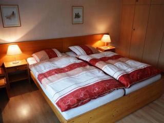 Apartment Mösli - Zimmerli Appartement-Fewo- Dusche oder Bad- WC 2-Bettwohnung by Interhome - 4