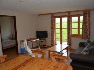Apartment Henry - Tiefparterre Appartement-Fewo- Dusche oder Bad- WC 8-Bettwohnung by Interhome - 5