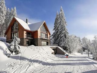 Apartment Rebelka-1 by Interhome - 1