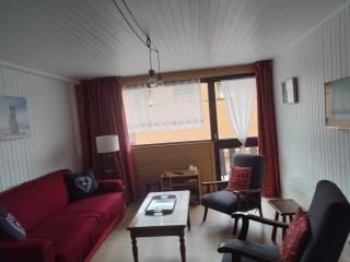 Grand studio central près télécabine, balcon ensoleillé - FR-1-693-102 - Châtel - 2