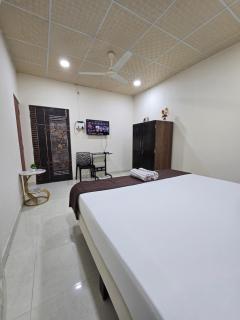 Lavish Abode Golden & White - 2