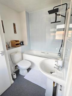 Silverthorne nest - 5