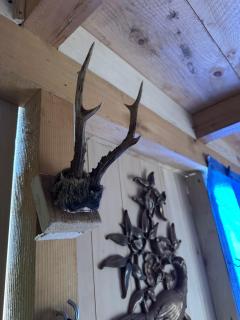 Zura cottage Svaneti - 5